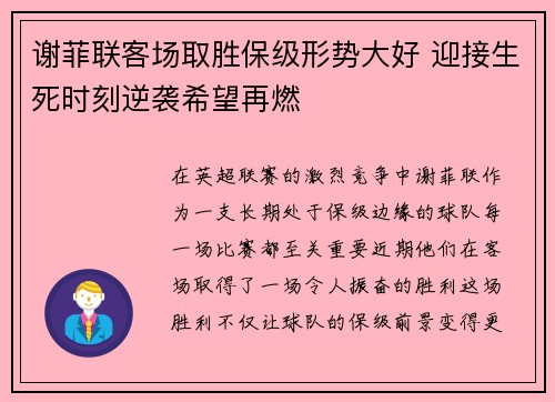 谢菲联客场取胜保级形势大好 迎接生死时刻逆袭希望再燃