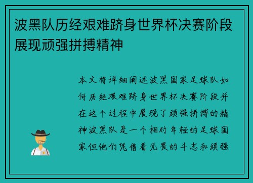 波黑队历经艰难跻身世界杯决赛阶段展现顽强拼搏精神
