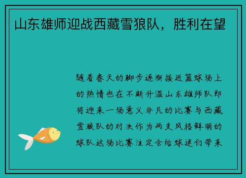 山东雄师迎战西藏雪狼队，胜利在望
