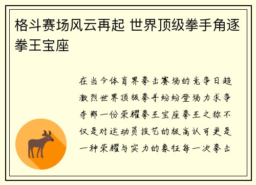 格斗赛场风云再起 世界顶级拳手角逐拳王宝座