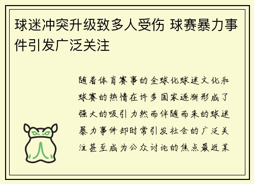 球迷冲突升级致多人受伤 球赛暴力事件引发广泛关注