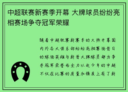 中超联赛新赛季开幕 大牌球员纷纷亮相赛场争夺冠军荣耀